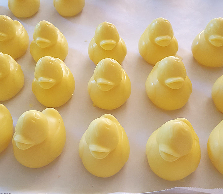 10 Duck Soap Favors